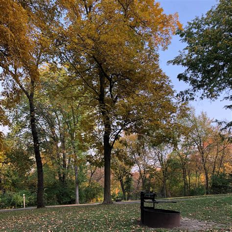 Prairie Rose State Park Campground | Harlan, IA