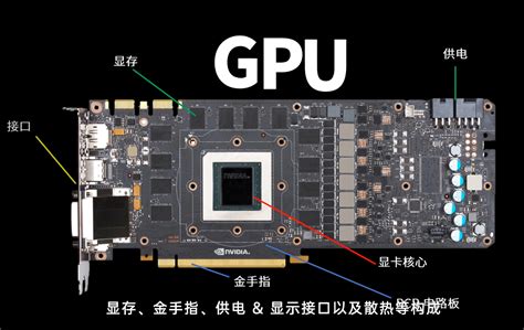 AMD和Intel专业图形显卡有哪些？和游戏显卡有啥区别？