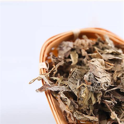 Chinese Herb Moxa Stick Moxibustion Artemisia Wormwood Natural Herbal ...