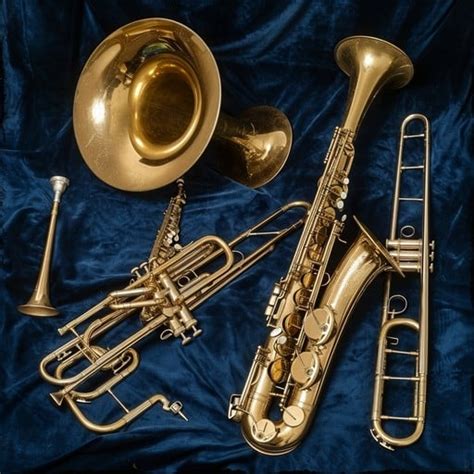 Image result for Lesser-Known Brass Instruments