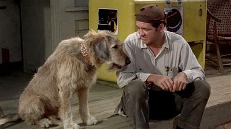 Watch The Andy Griffith Show Season 6 Episode 12: Man's Best Friend ...