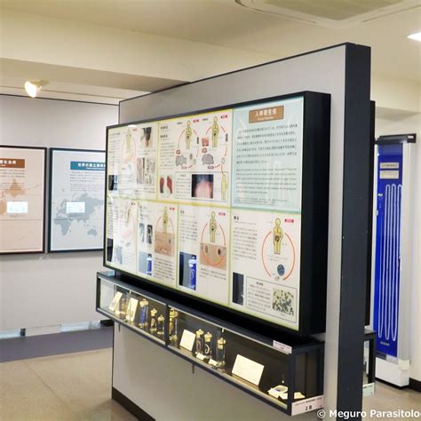 MEGURO PARASITOLOGICAL MUSEUM (2026) All You Need to Know BEFORE You Go ...