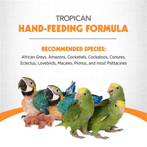 Pet Parrot Hand Feeding Formula 的图像结果