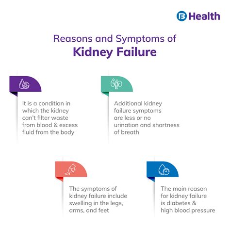 Kidney Failure Symptoms and Causes: All You Should Know