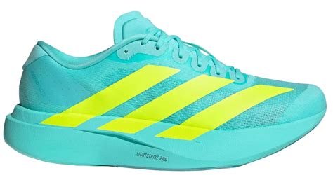 Adidas Adizero Evo SL Flash Aqua Lucid Lemon | Lightweight Running ...