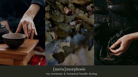 (meta) morphosis - tea ceremony + botanical dyeing, Hake House of Art ...