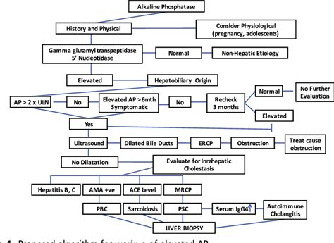What Causes High Alkaline Phosphatase In Child at Rosalie Eadie blog