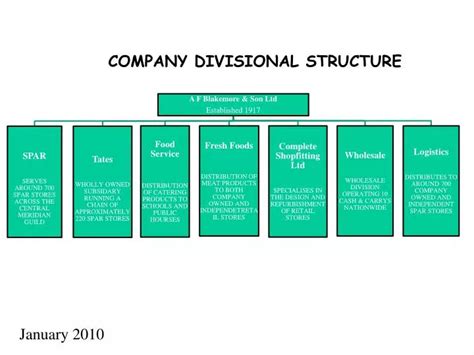 Divisional Structure Businesses Examples 的图像结果