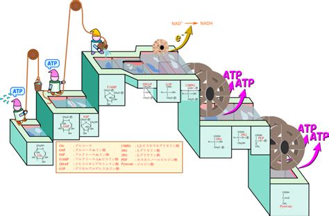 Image result for Secure Hash Algorithm Hint Image