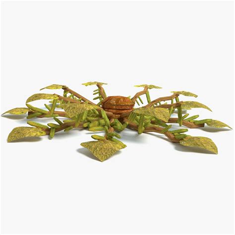 Alien Plant Animation 的图像结果