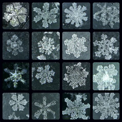 Electron Microscope Snowflake Like Snowflakes, Soot Particles Are