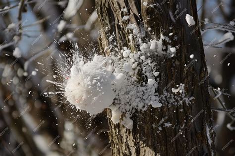 Exploding Tree 的图像结果