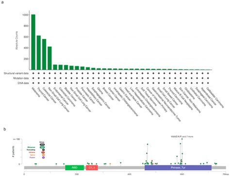 Mutations in the Serine/Threonine Kinase BRAF: Oncogenic Drivers in ...