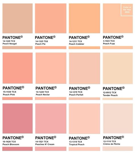 Image result for Peach Color Code