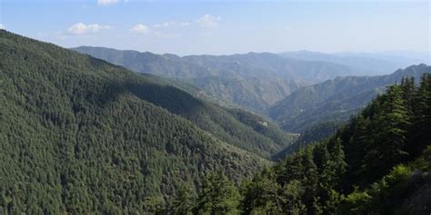 Can forest clearance grantees have their names added in record of ...