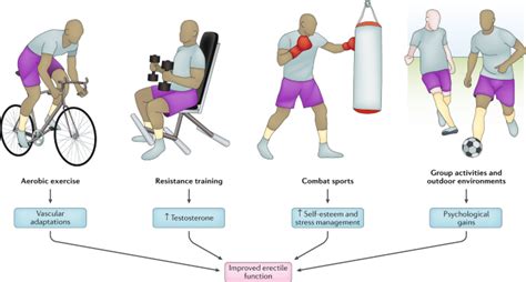 Does Exercise Reverse Erecttile Dysfunction 的图像结果