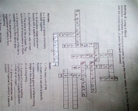 Throw For A Loop Crossword 5 Letters at Carla Apgar blog