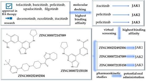 Novel Potential Janus Kinase Inhibitors with Therapeutic Prospects in ...