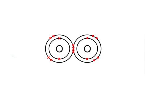 O2 Covalent Bond 的图像结果
