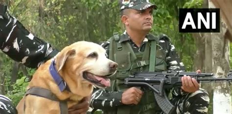 CRPF's Special Dog Squad deployed in parts of J-K ahead of Amarnath Yatra