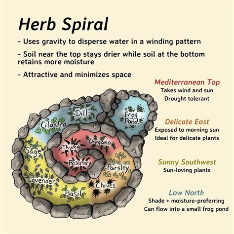 Vertical Gardening: Herb Spirals, Trellises, and Containers