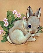 Image result for Images of Bunnies Drawings