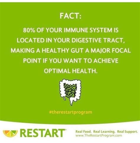 70 percent of immune system in gut