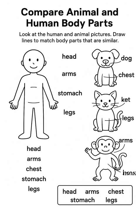 Compare Animal and Human Body Parts Worksheet - Download & Print Now!