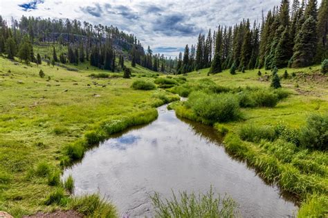 Visit the White Mountains of Arizona