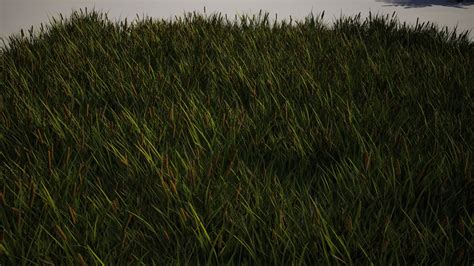 Image result for Foliage Digital Art Tutorial