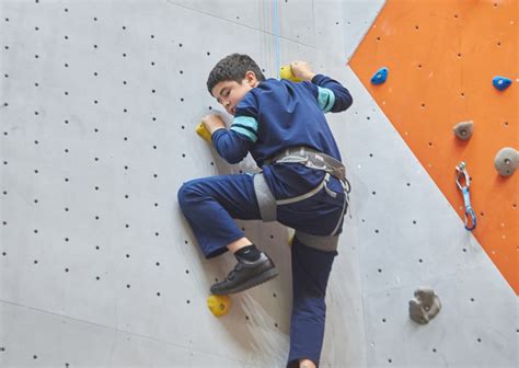 The British School of Tashkent – BST (Tashkent, Uzbekistan)