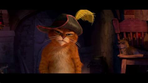 Cats Tees 的图像结果