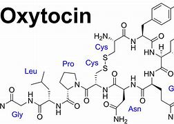 oxytocin 的图像结果
