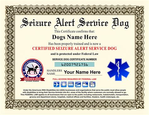 How Do I Certify My Dog As A Service Dog