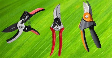 5 Pruning Shears for Your Garden - Snappy Living