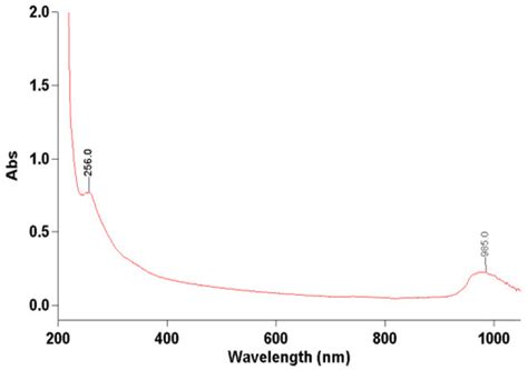 A Comprehensive Study on the Nutritional Profile and Shelf Life of a ...