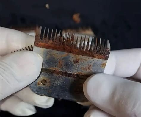 Image result for How to Clean Rust Off Clipper