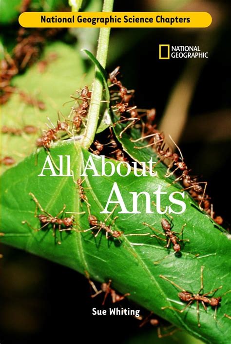 SCIENCE CHAPTERS: ALL ABOUT ANTS : Whiting, Sue: Amazon.in: Books