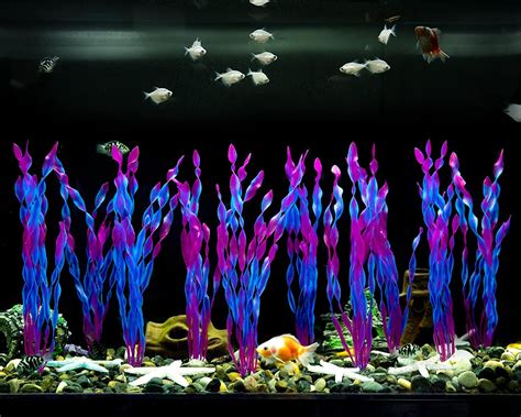 Buy 1/4/10/20/30/40/50 Pack Artificial Aquatic Plants (Algae) for ...