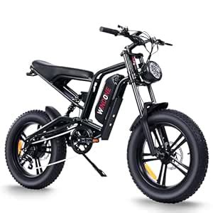 Windone E2 Electric Bike for Adults,750W Ebike with 48V13Ah Removable ...