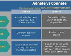 Image result for Connation
