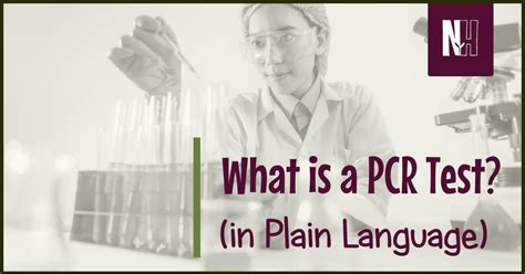 What Is PCR Test 的图像结果