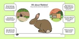 Rabbit! Rabbit! Worksheet / Worksheet (teacher made)