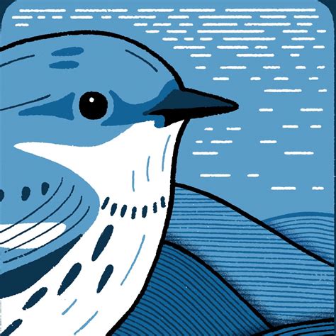 Image result for Matrix Design Group for Calculator