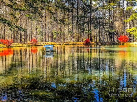 Image result for Meting Reflection Spring