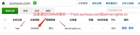 Sunny-Ngrok 自定义域名使用方法-sunny博客|讲述一个程序员的代码史记