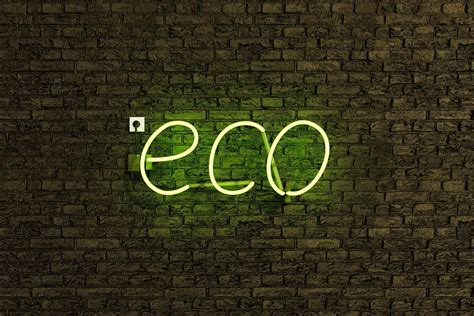 Eco 的图像结果