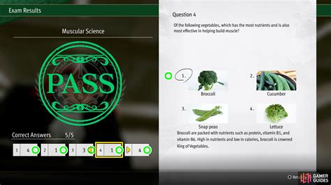 All Ounabara Vocational School Test Answers - Ounabara Vocational ...