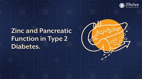 Zinc and Pancreatic Function in Type 2 Diabetes | iThrive Essentials