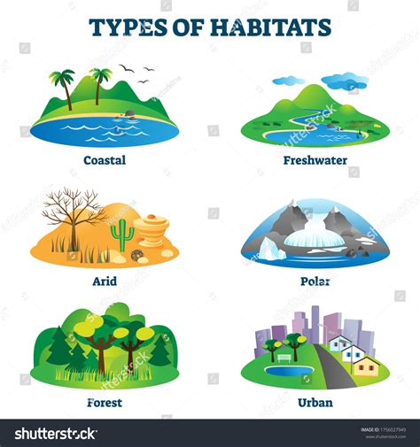 Image result for Habitat Example